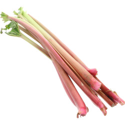 BIO RHUBARBE 6KG